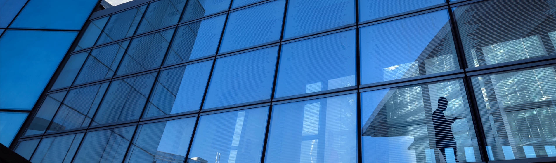 Investment Committee Review – Outlook Q3 2025