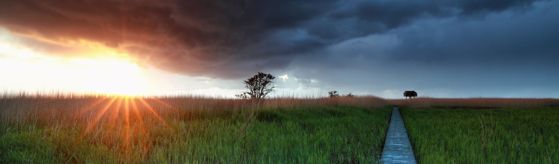 Featured Image