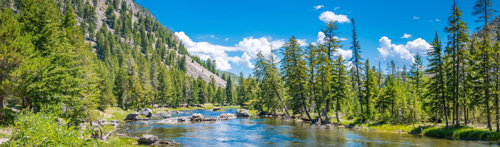 Greetings From Lake Wobegon Private Equity Partners